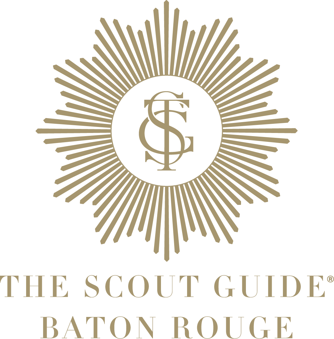 Scout Guide